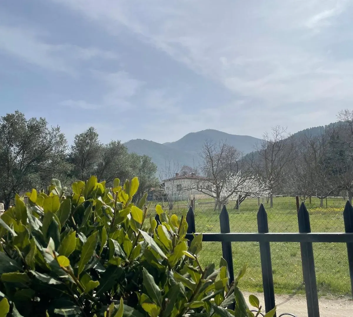 Anastasias Holiday House ستافروس 0*,